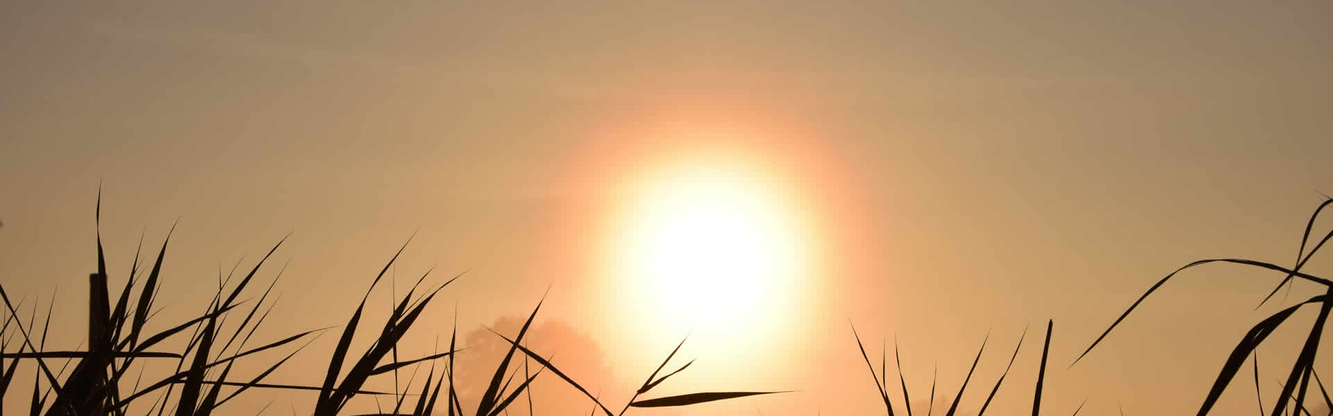 Zwei geschnitzte Herzen aus warmem Naturholz