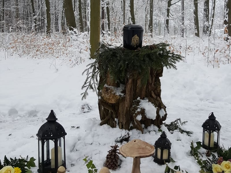 Waldbestattung