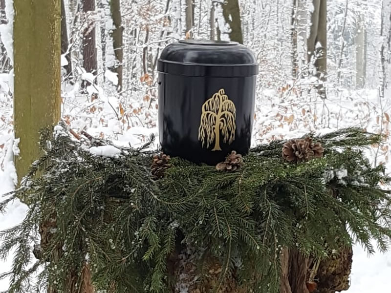 Waldbestattung